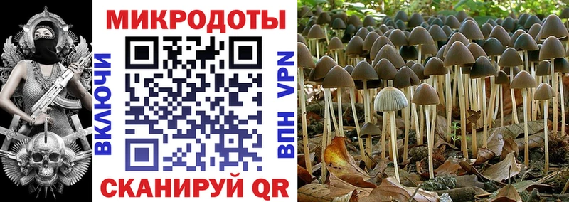 Псилоцибиновые грибы мухоморы  Няндома 